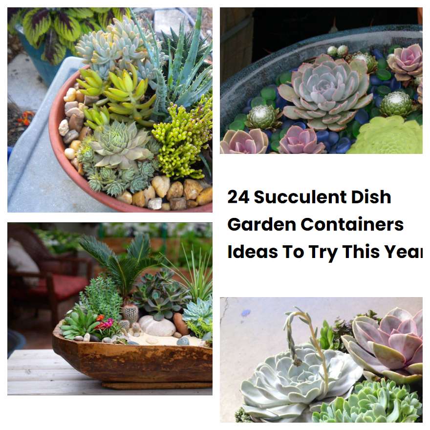24 Succulent Dish Garden Containers Ideas To Try This Year SharonSable