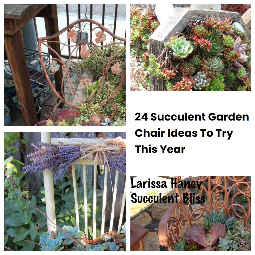 24 Succulent Garden Chair Ideas To Try This Year