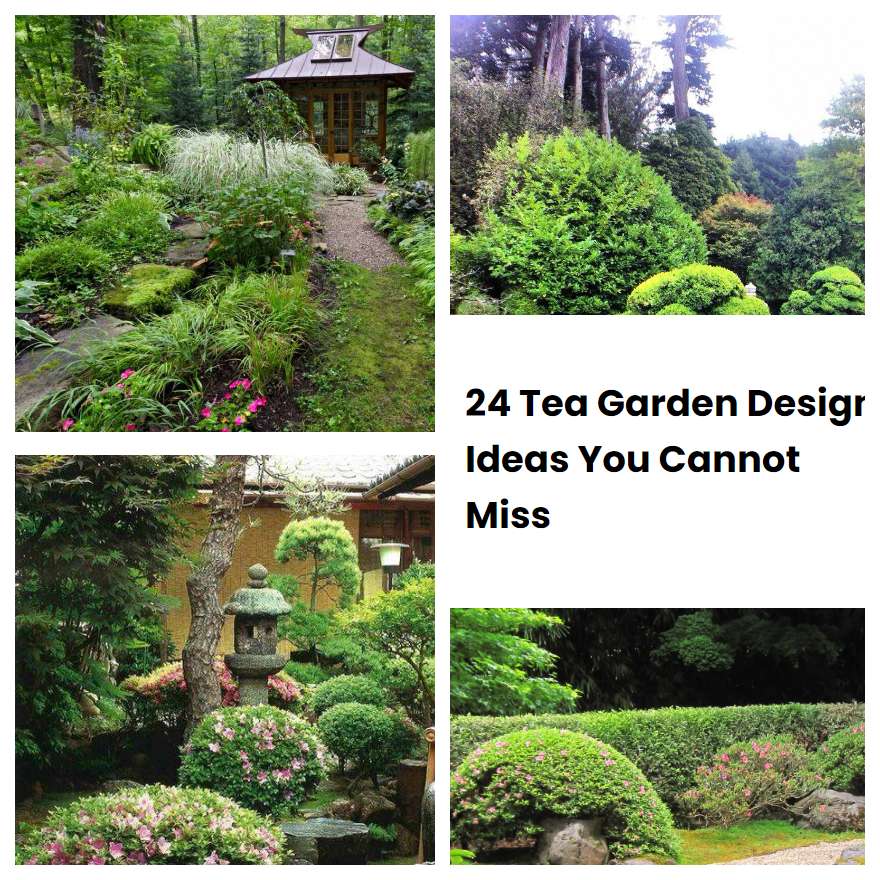 24 Tea Garden Design Ideas You Cannot Miss