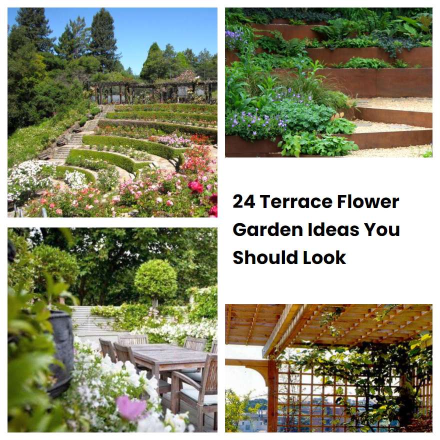24 Terrace Flower Garden Ideas You Should Look