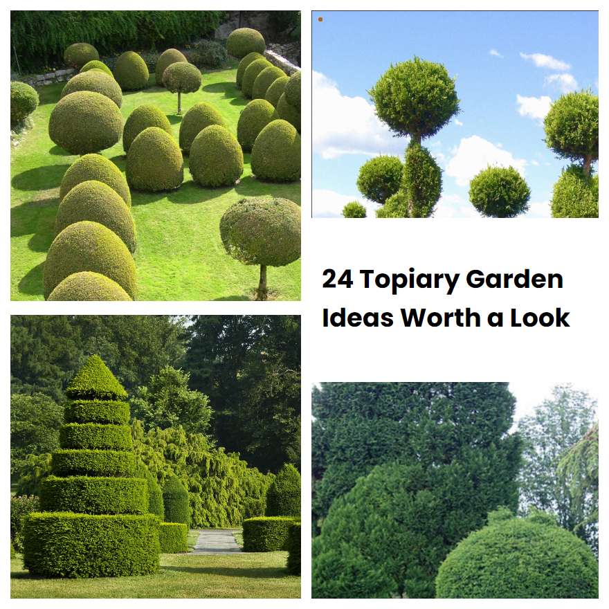 24 Topiary Garden Ideas Worth a Look | SharonSable