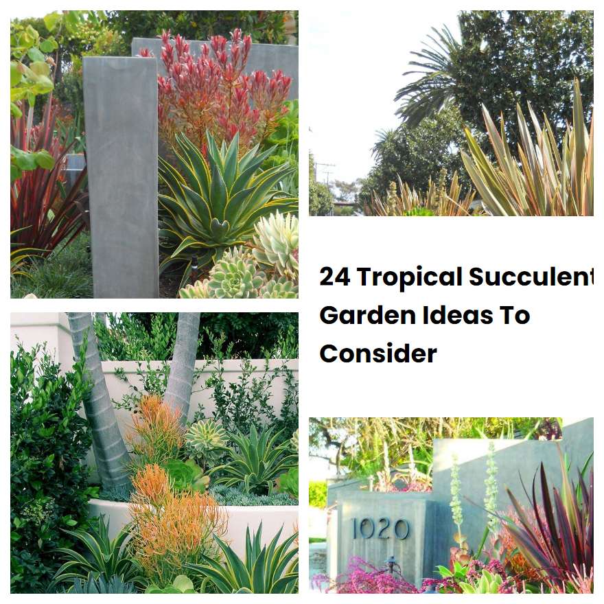 24 Tropical Succulent Garden Ideas To Consider