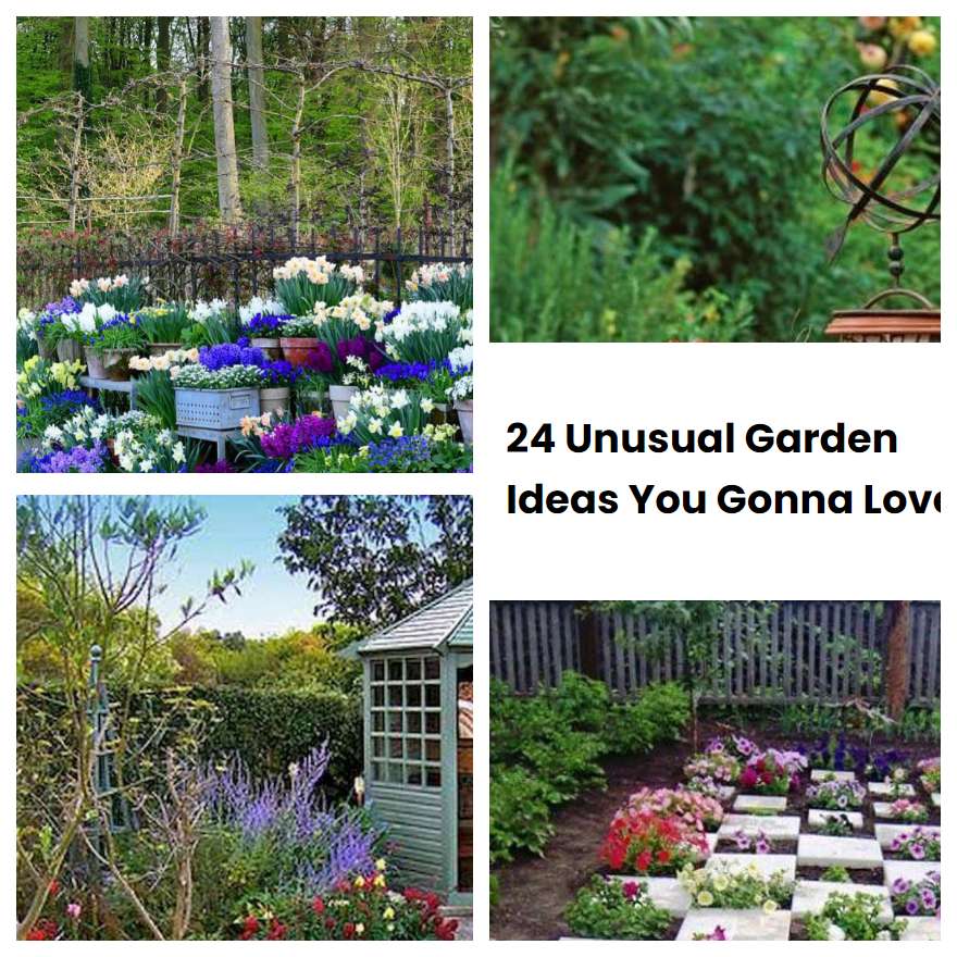 24 Unusual Garden Ideas You Gonna Love SharonSable