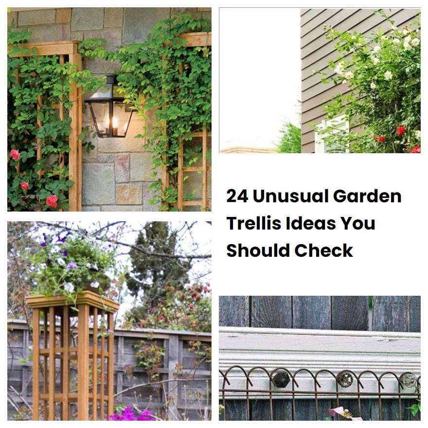 24 Unusual Garden Trellis Ideas You Should Check SharonSable