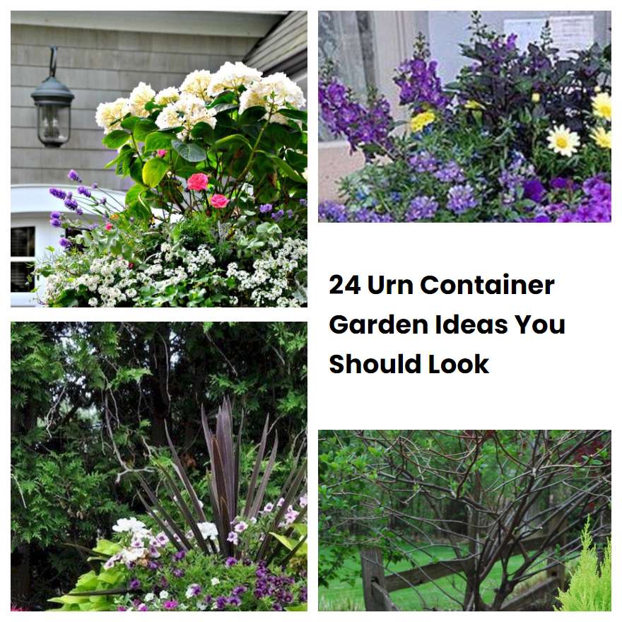 24 Urn Container Garden Ideas You Should Look