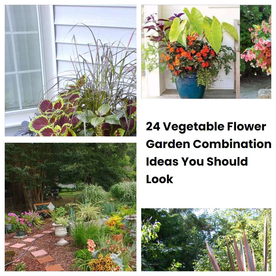 24 Vegetable Flower Garden Combination Ideas You Should Look