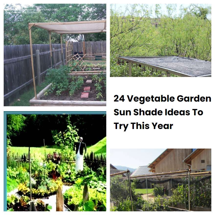 24 Vegetable Garden Sun Shade Ideas To Try This Year SharonSable