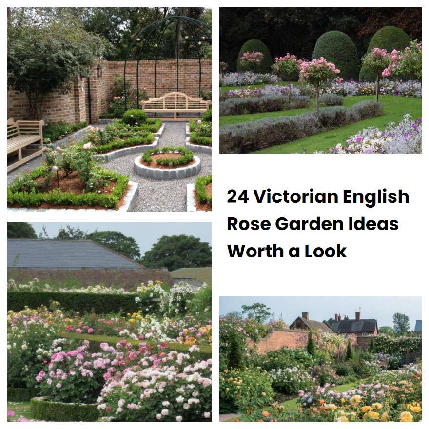 24 Victorian English Rose Garden Ideas Worth a Look