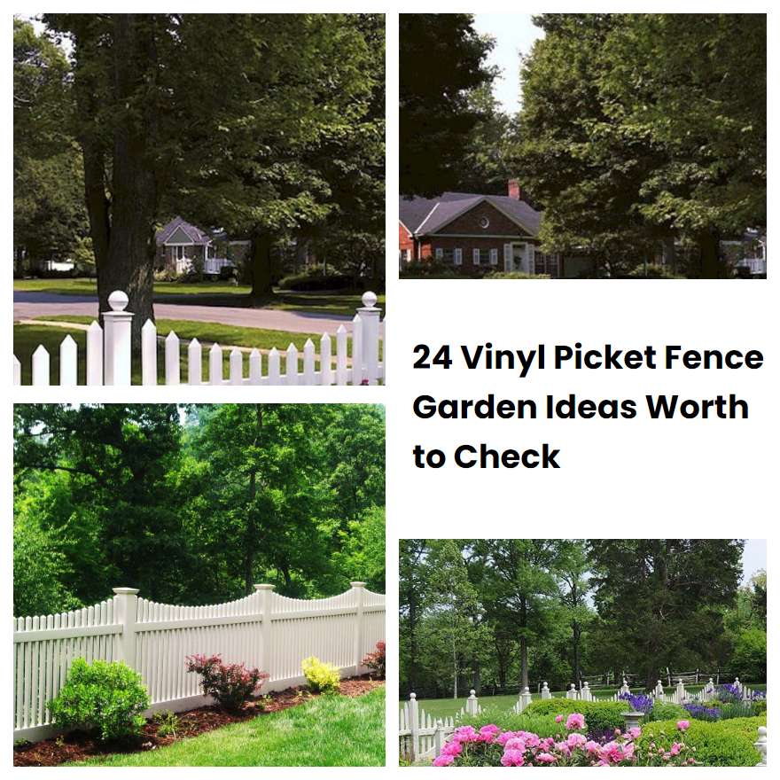 24 Vinyl Picket Fence Garden Ideas Worth to Check