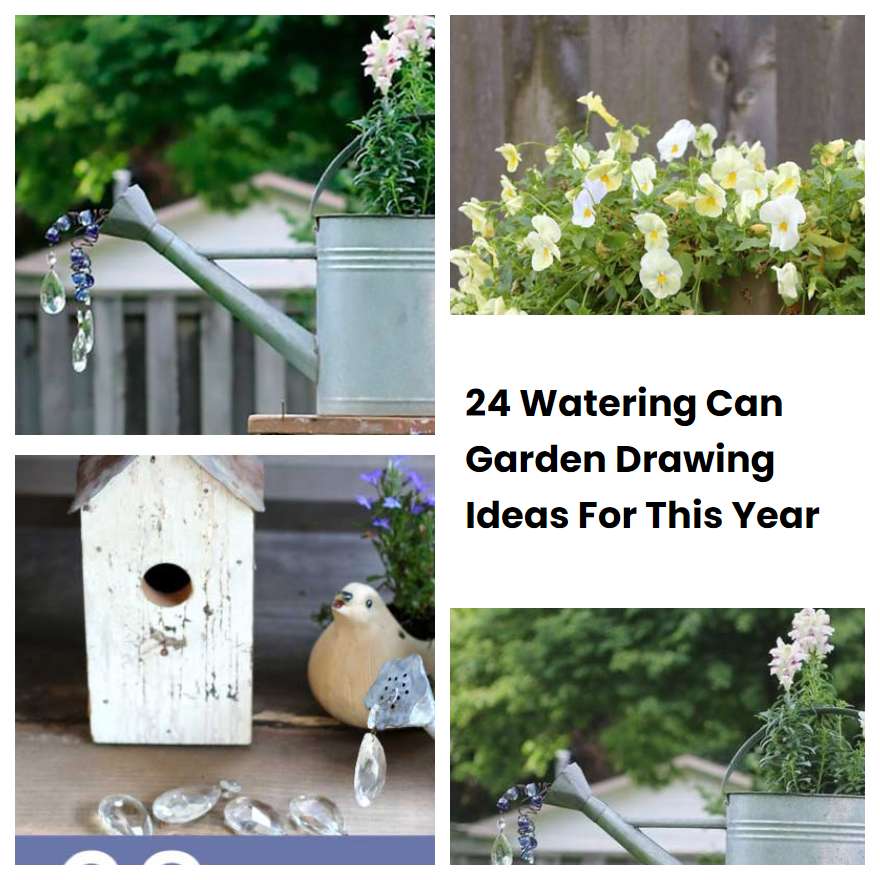 24 Watering Can Garden Drawing Ideas For This Year