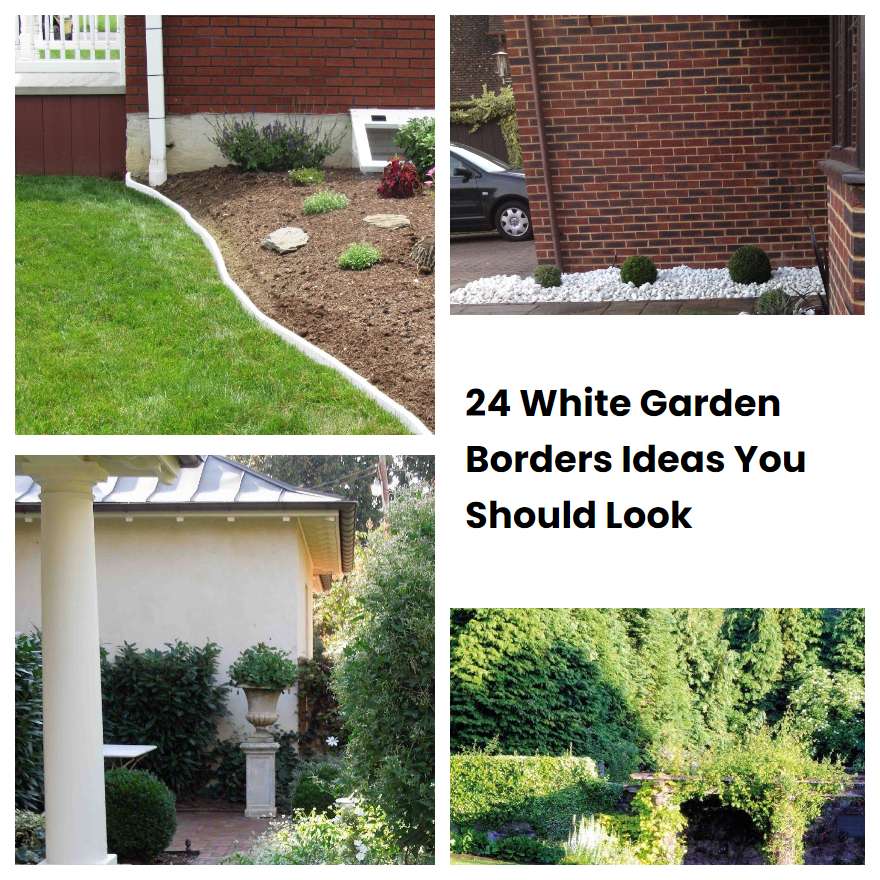 24 White Garden Borders Ideas You Should Look SharonSable