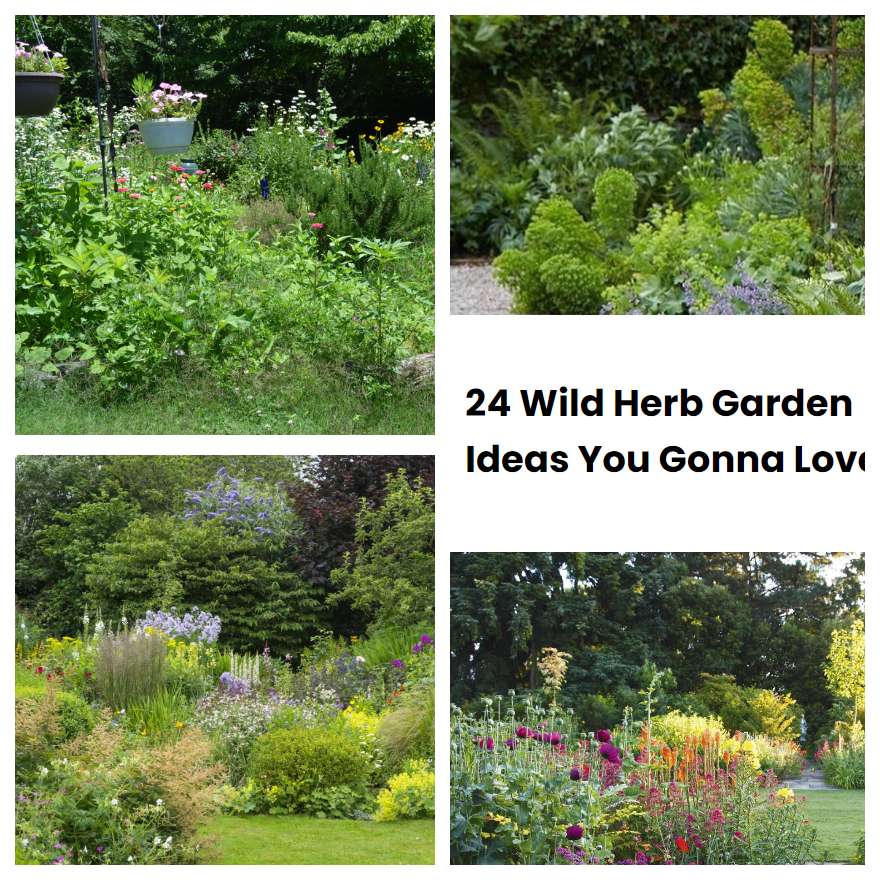 24 Wild Herb Garden Ideas You Gonna Love SharonSable
