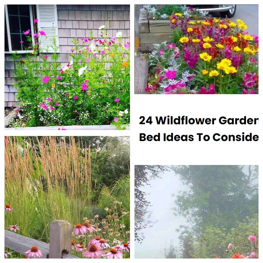 24 Wildflower Garden Bed Ideas To Consider SharonSable