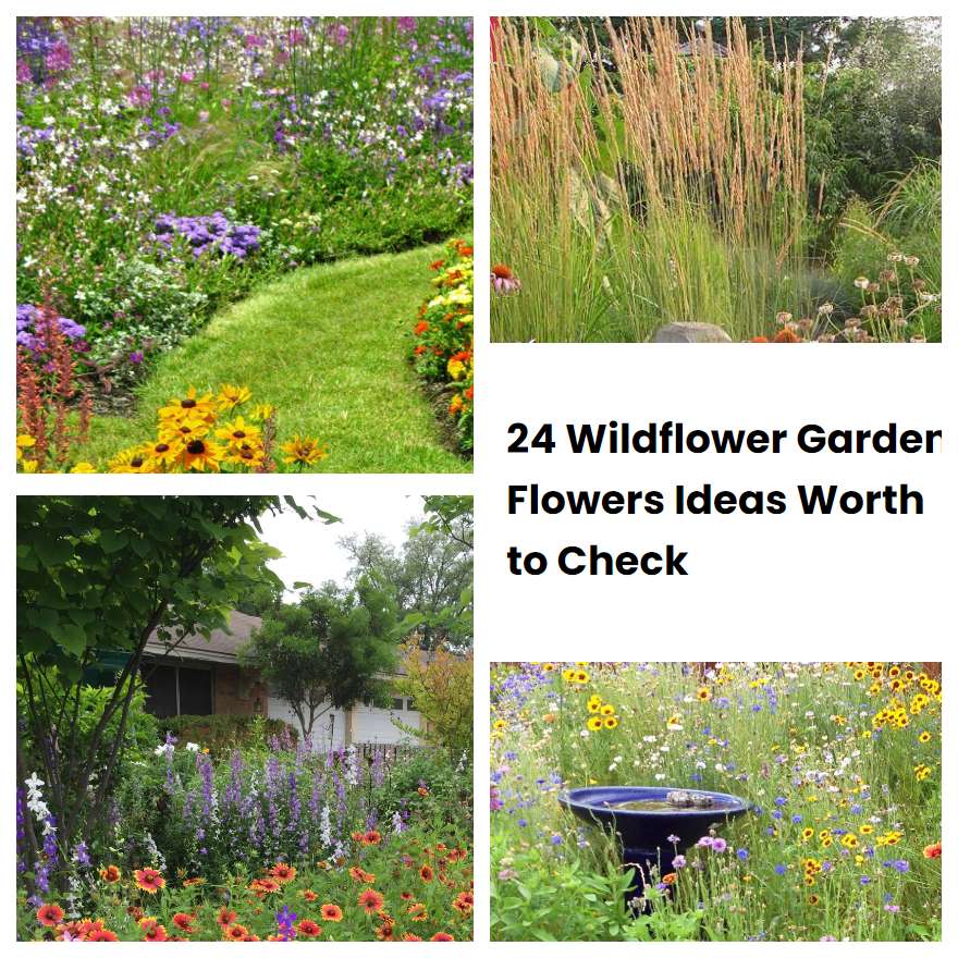 24 Wildflower Garden Flowers Ideas Worth to Check