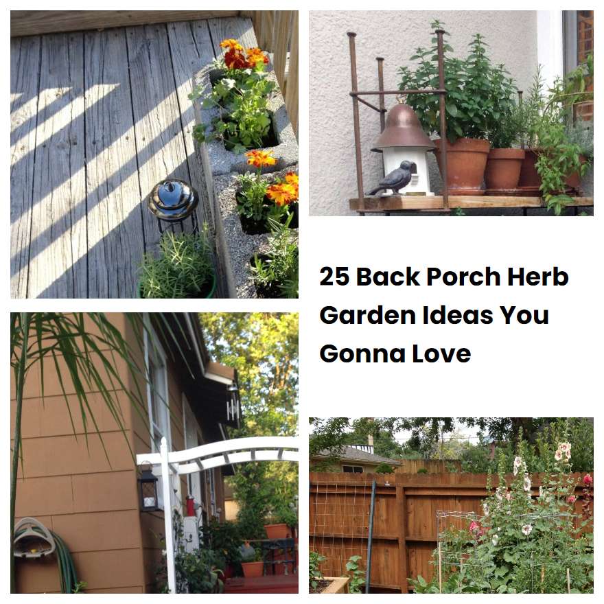 25 Back Porch Herb Garden Ideas You Gonna Love