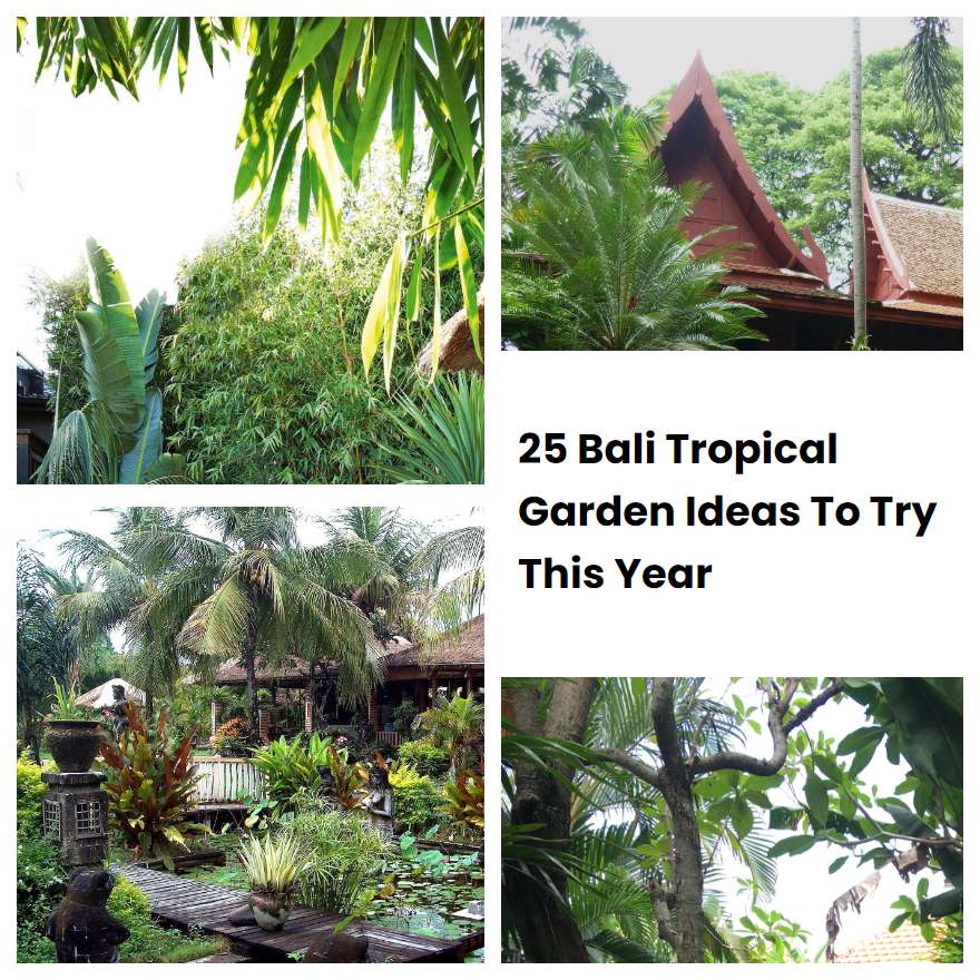 25 Bali Tropical Garden Ideas To Try This Year