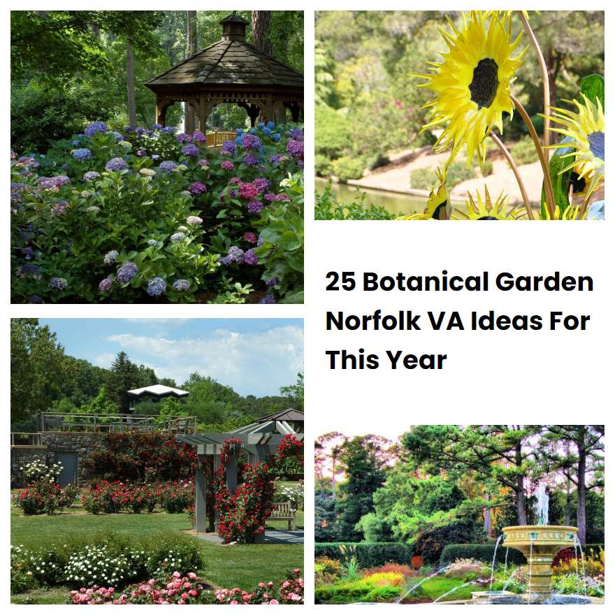25 Botanical Garden Norfolk VA Ideas For This Year