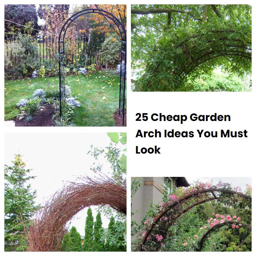 25 Cheap Garden Arch Ideas You Must Look SharonSable
