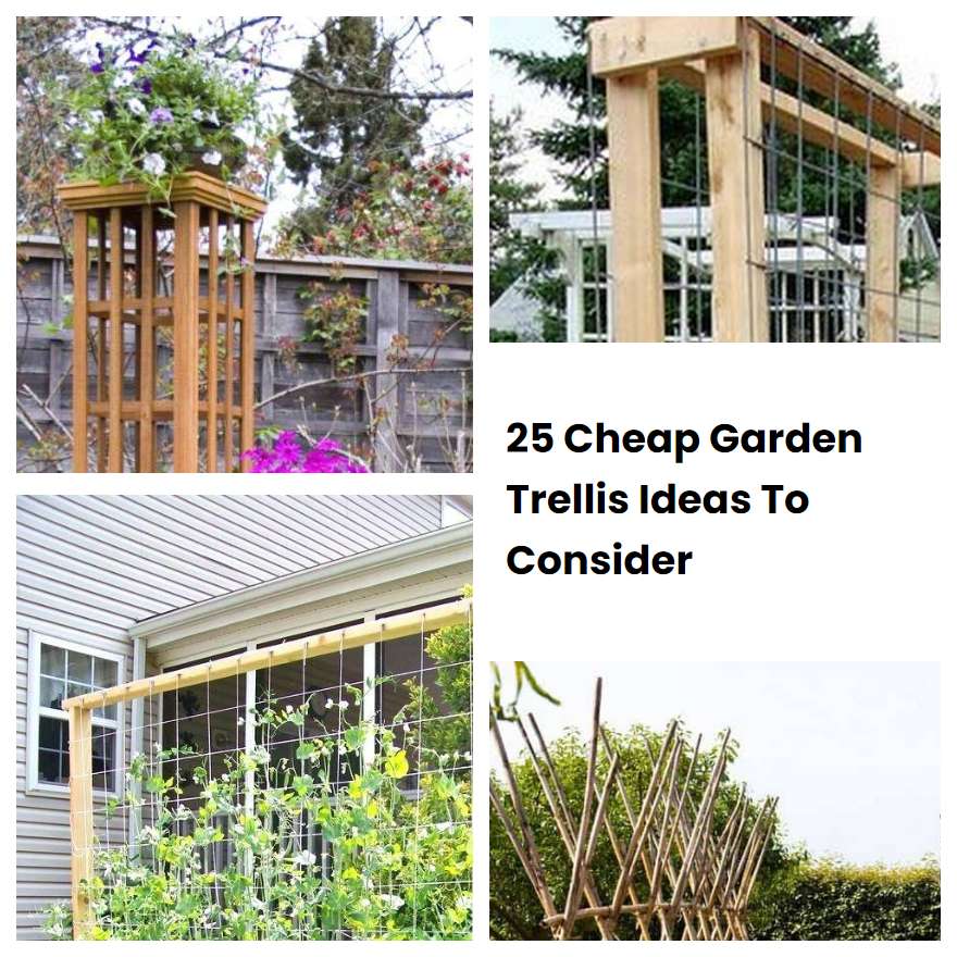25 Cheap Garden Trellis Ideas To Consider SharonSable