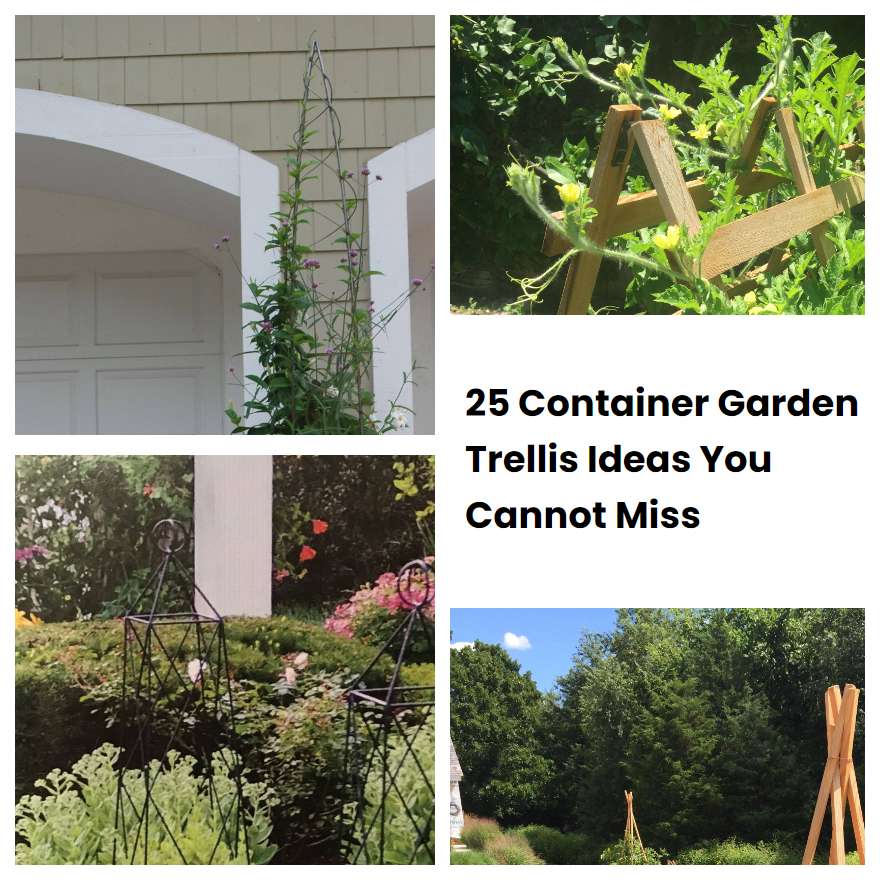 25 Container Garden Trellis Ideas You Cannot Miss SharonSable