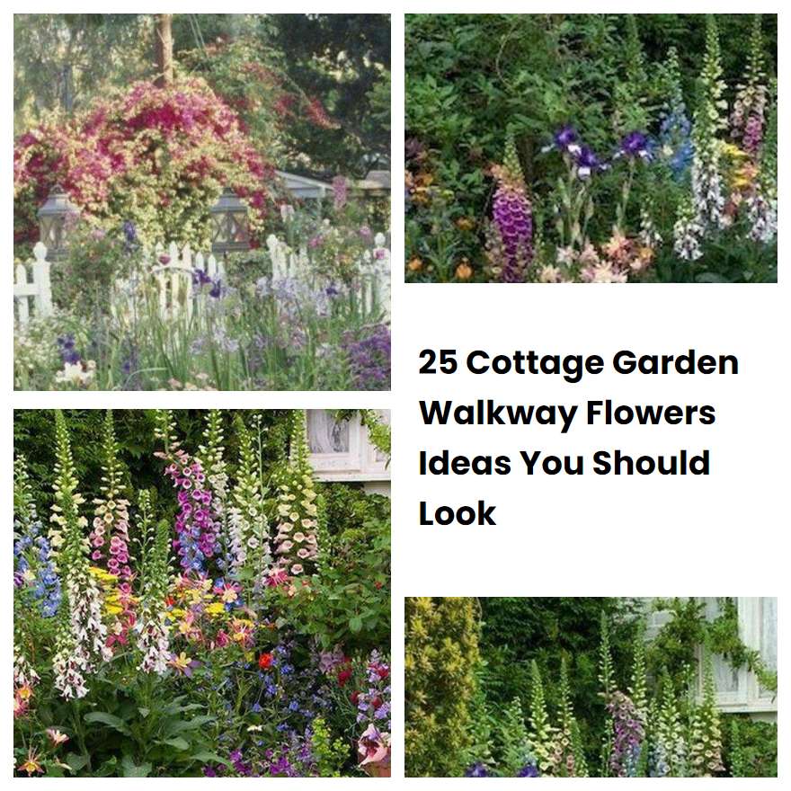 25 Cottage Garden Walkway Flowers Ideas You Should Look SharonSable