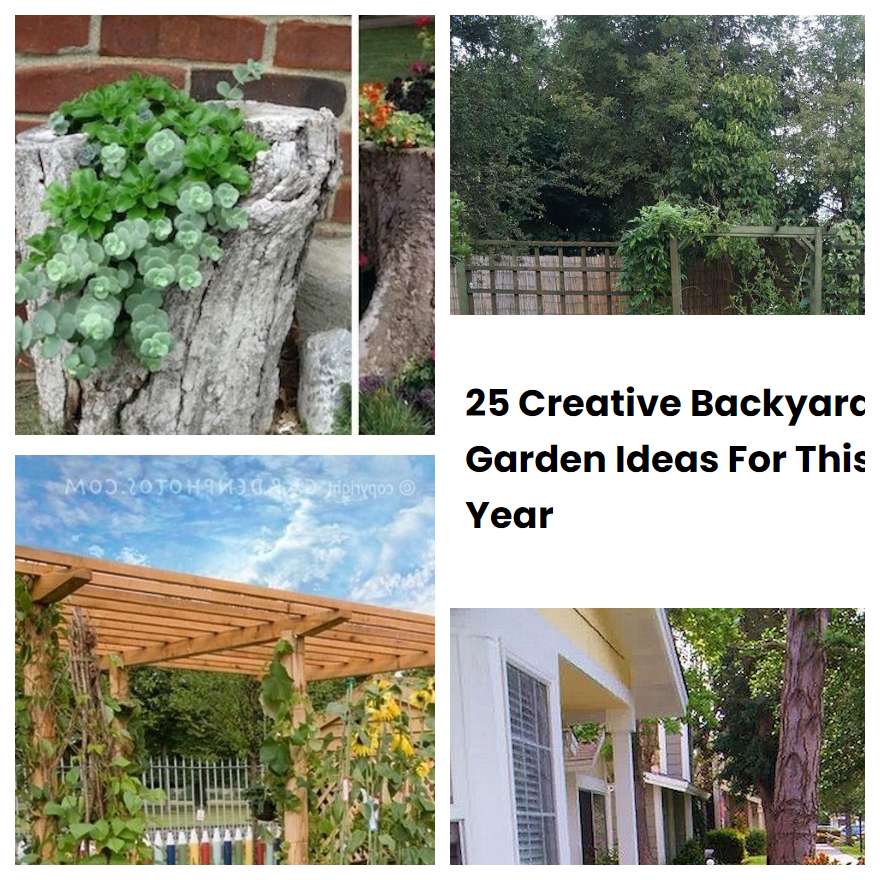 25 Creative Backyard Garden Ideas For This Year