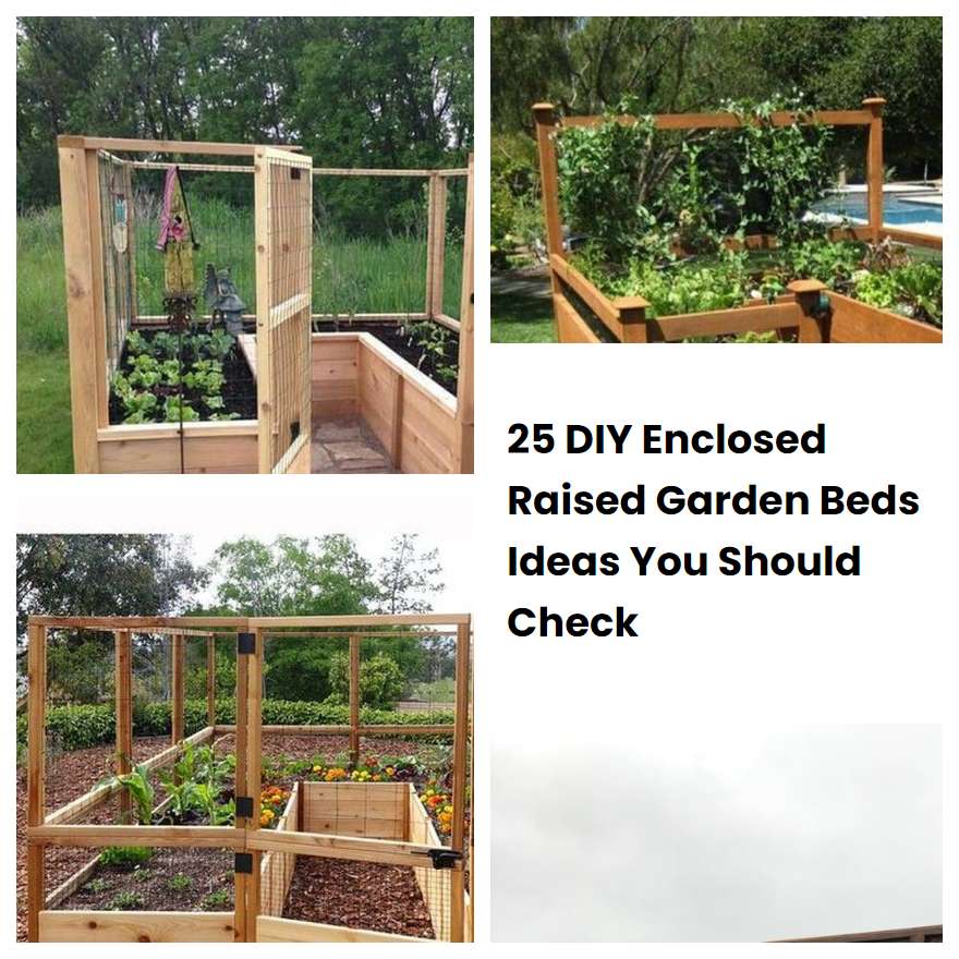 25 DIY Enclosed Raised Garden Beds Ideas You Should Check