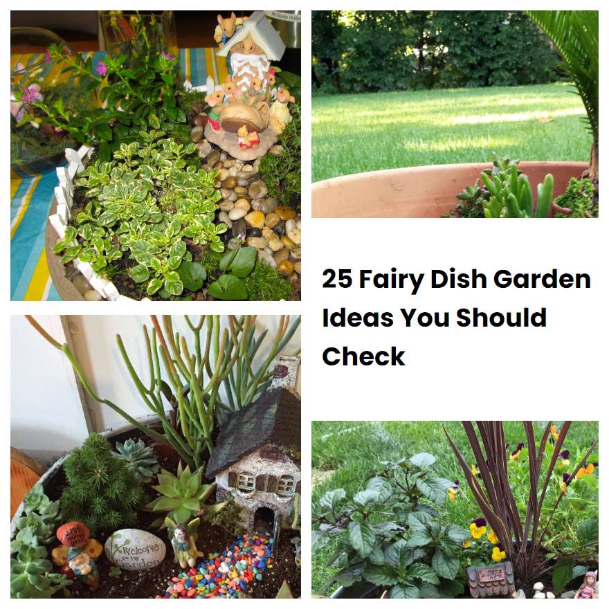 25 Fairy Dish Garden Ideas You Should Check