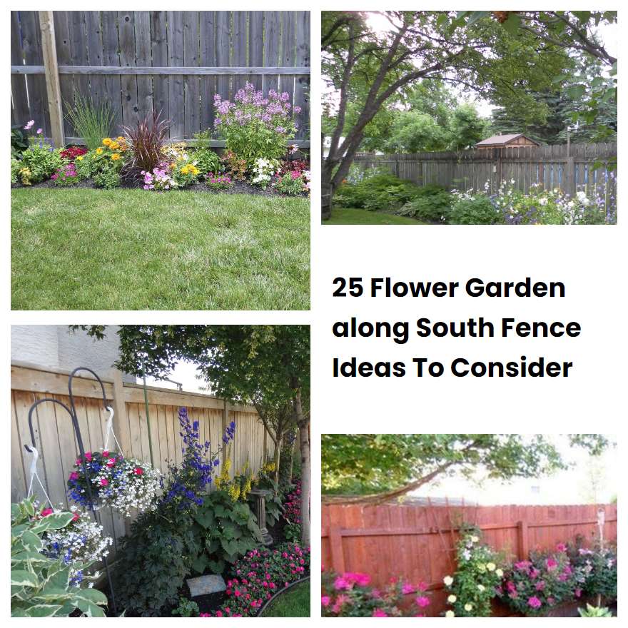 25 Flower Garden along South Fence Ideas To Consider
