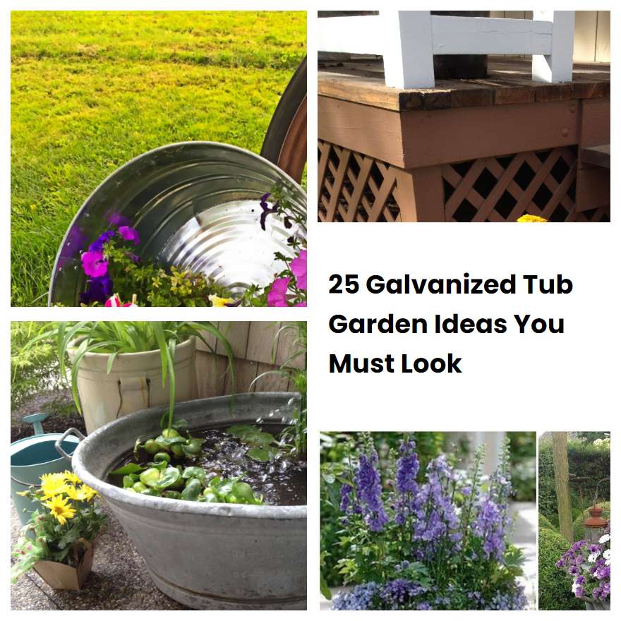 25 Galvanized Tub Garden Ideas You Must Look