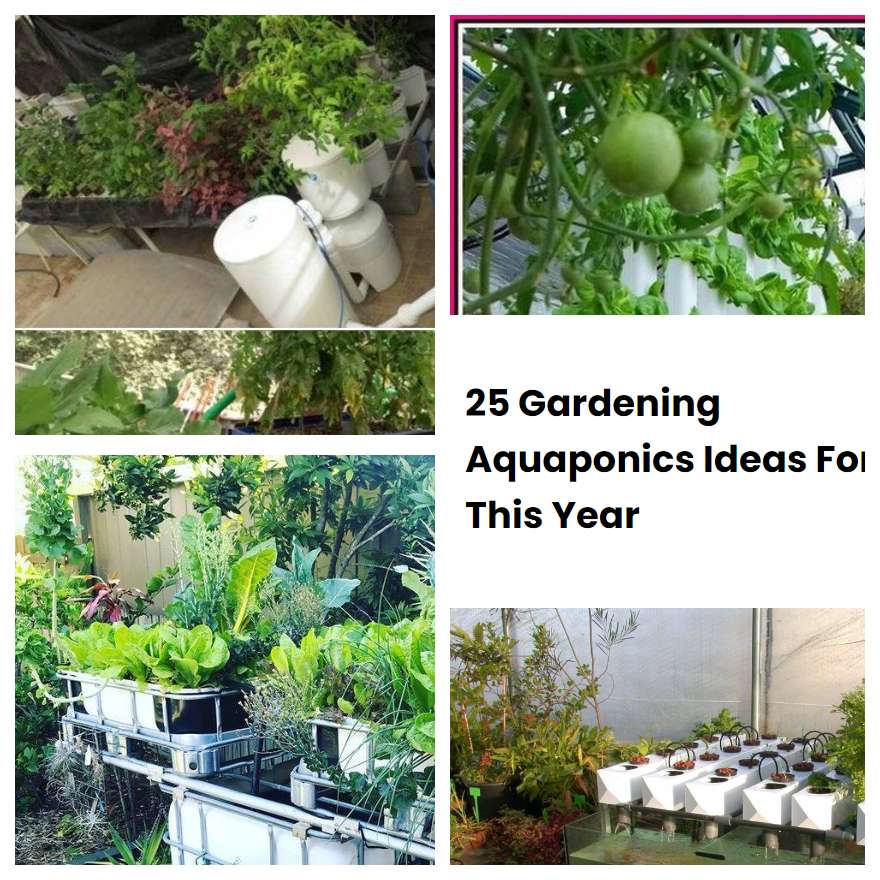 25 Gardening Aquaponics Ideas For This Year