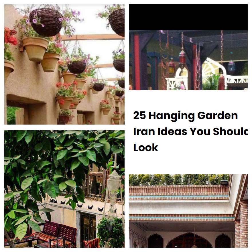 25 Hanging Garden Iran Ideas You Should Look