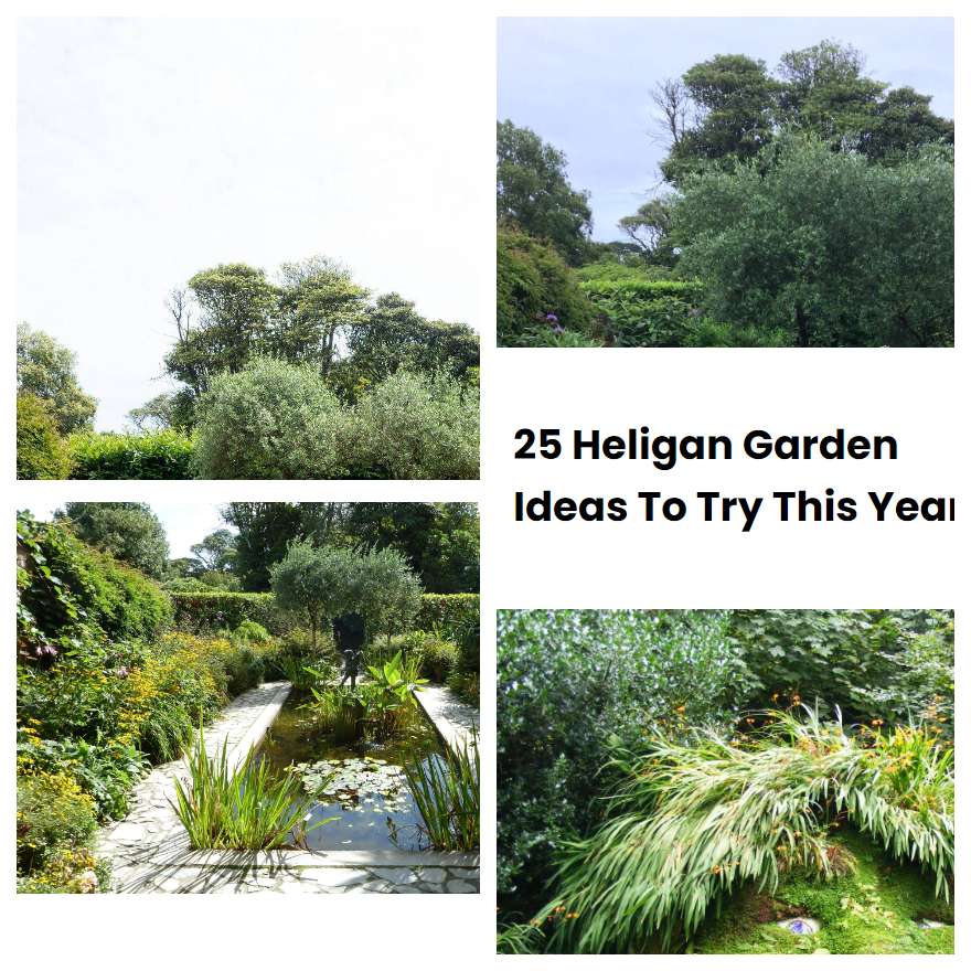 25 Heligan Garden Ideas To Try This Year