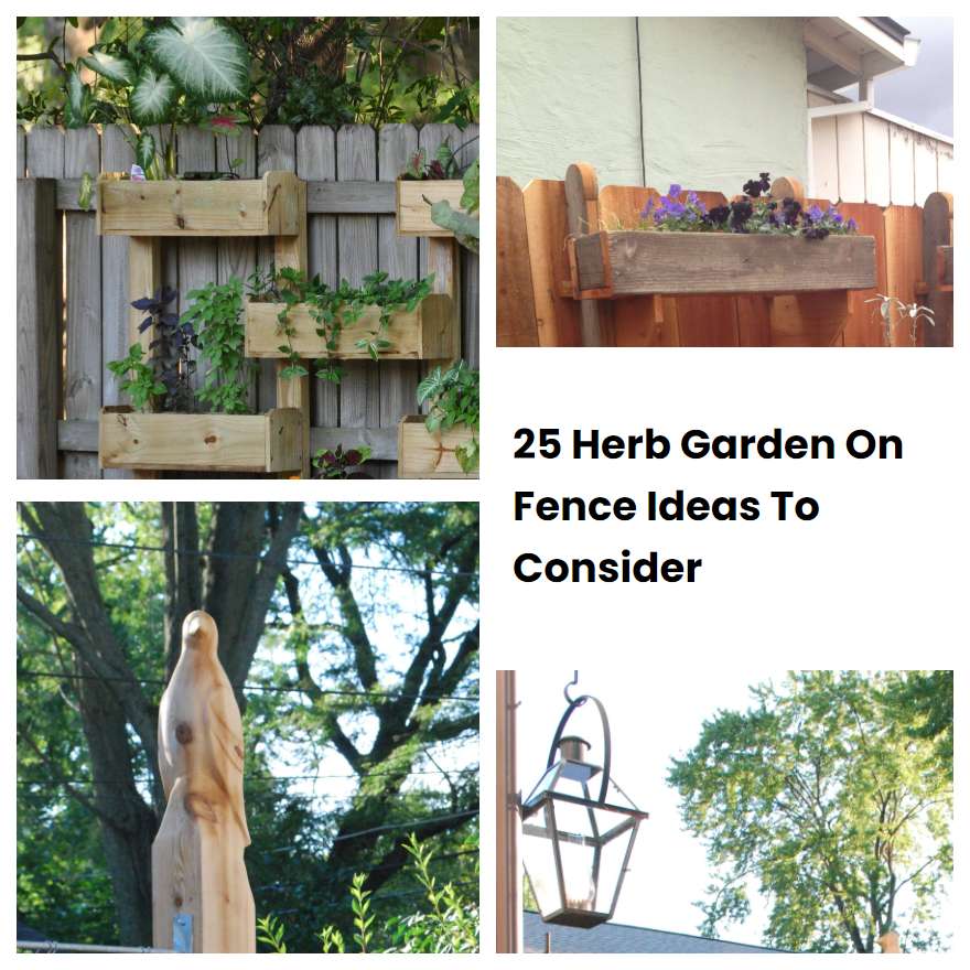 25 Herb Garden On Fence Ideas To Consider