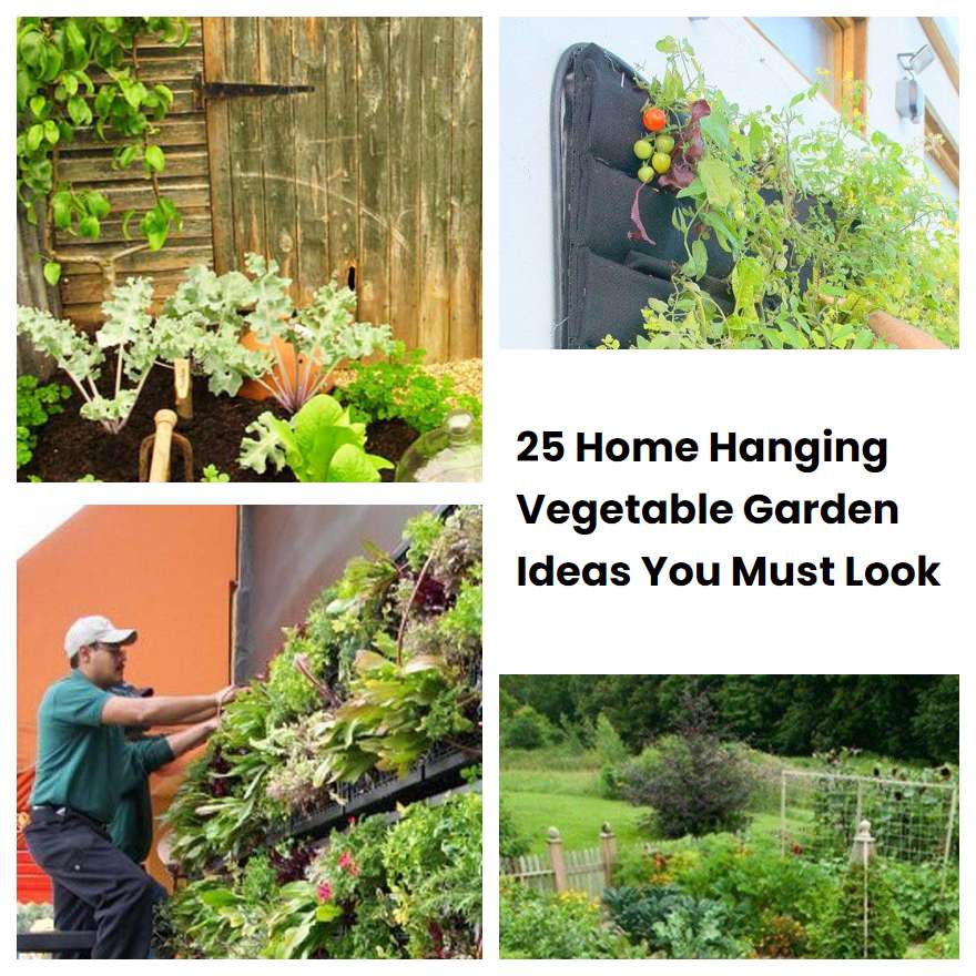 25 Home Hanging Vegetable Garden Ideas You Must Look SharonSable
