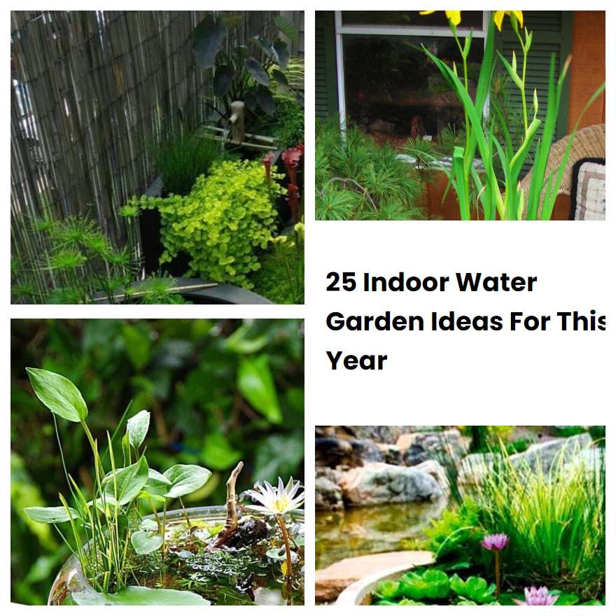 25 Indoor Water Garden Ideas For This Year SharonSable