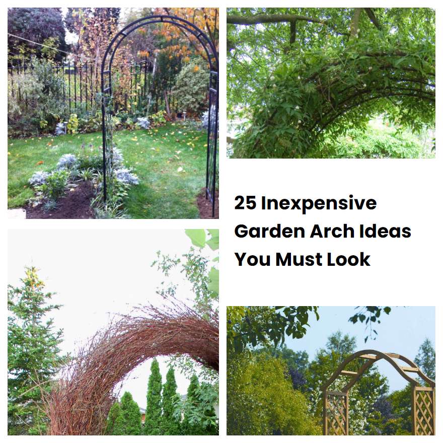 25 Inexpensive Garden Arch Ideas You Must Look