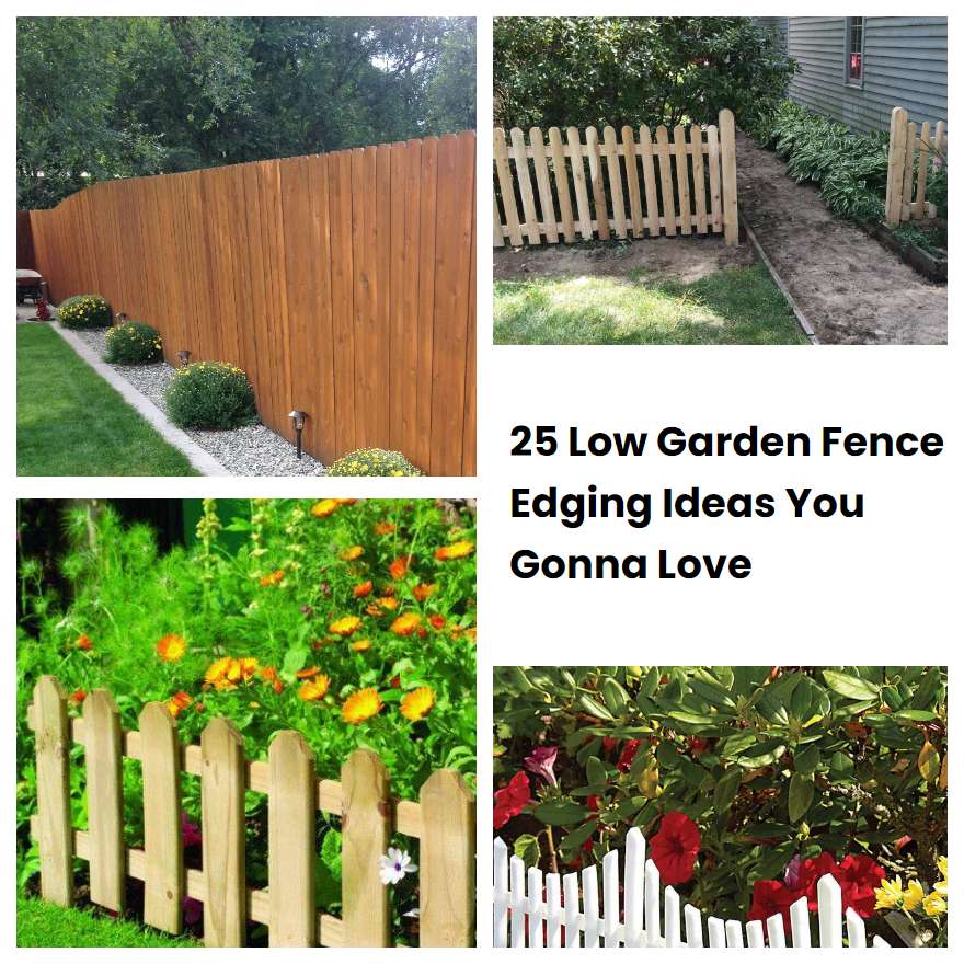 25 Low Garden Fence Edging Ideas You Gonna Love SharonSable