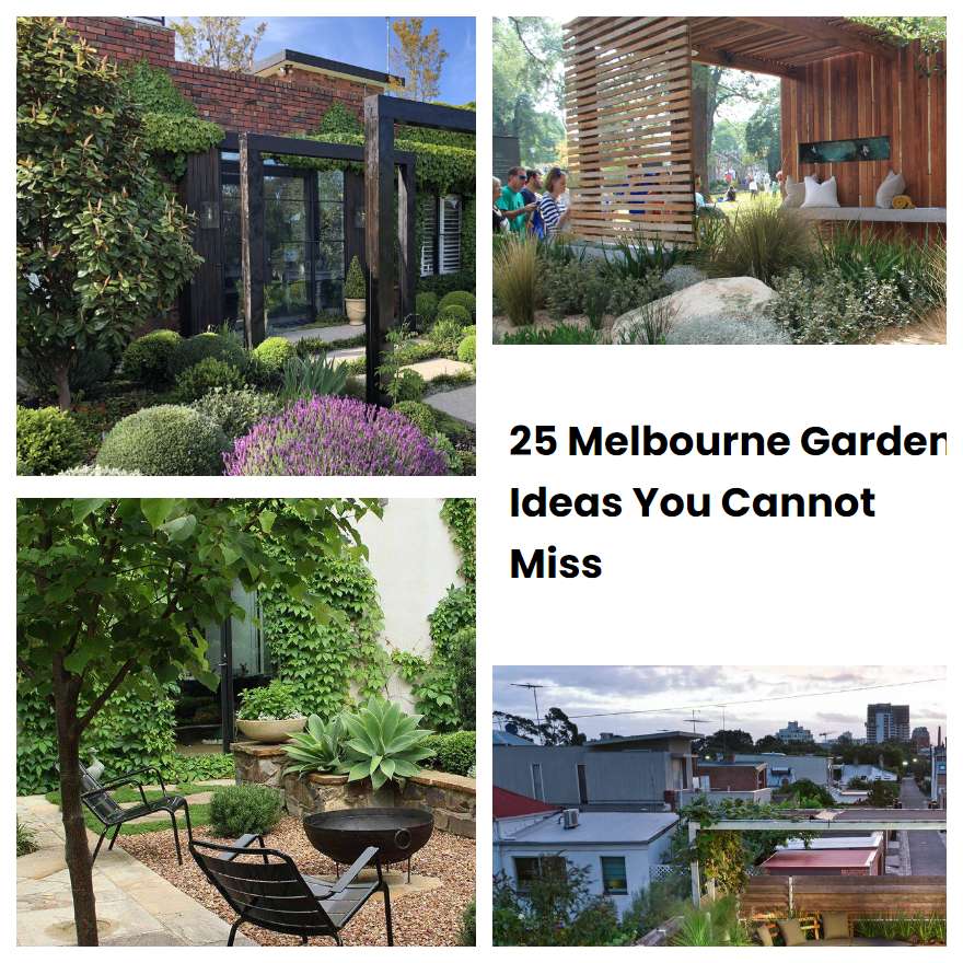 25 Melbourne Garden Ideas You Cannot Miss