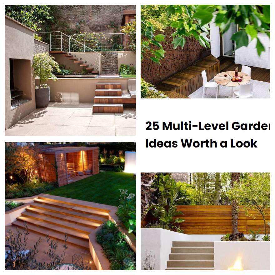 25 Multi-Level Garden Ideas Worth a Look