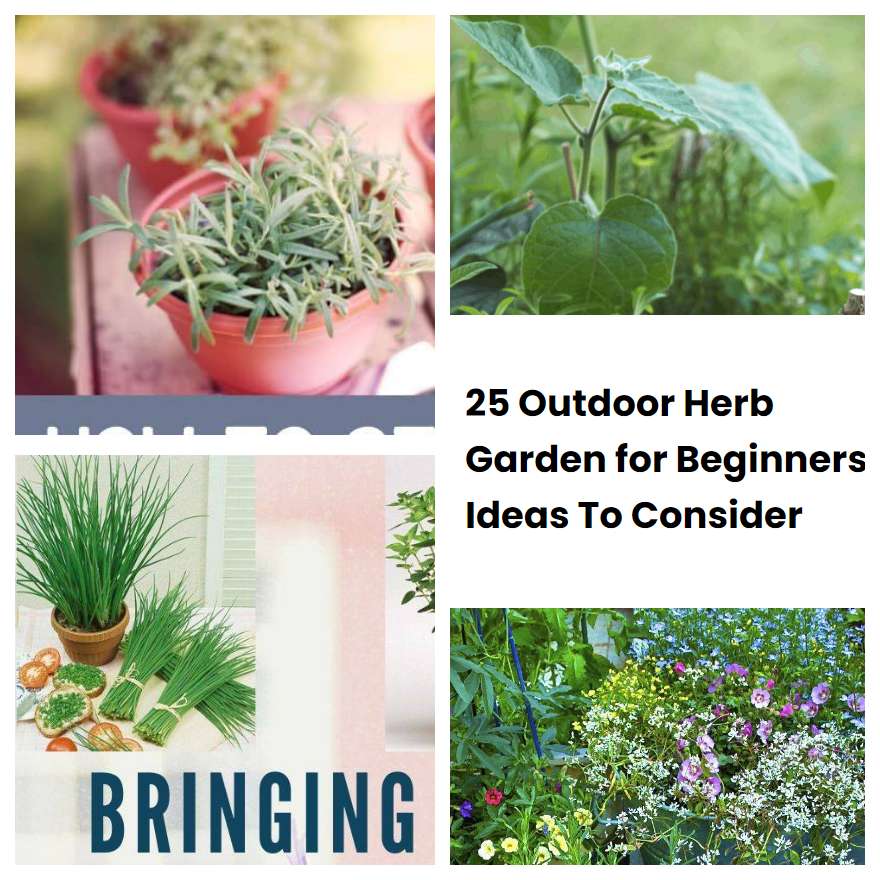 25 Outdoor Herb Garden for Beginners Ideas To Consider SharonSable
