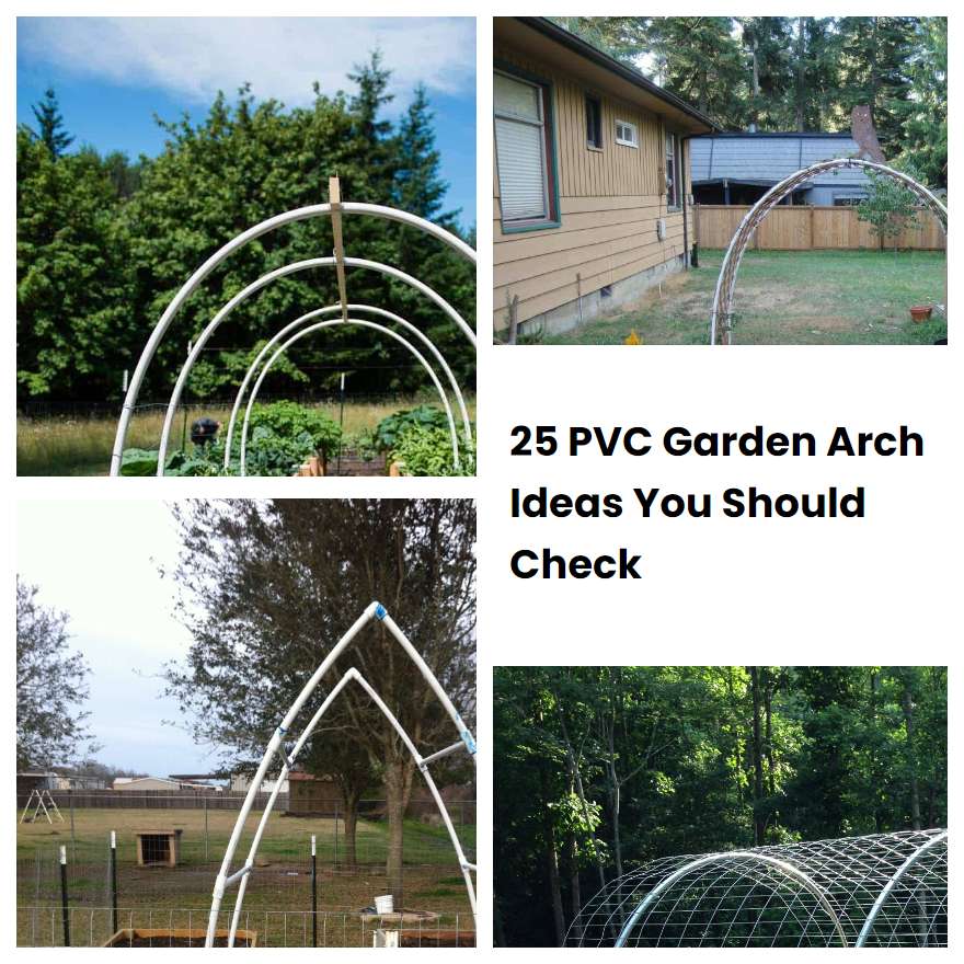 25 PVC Garden Arch Ideas You Should Check SharonSable