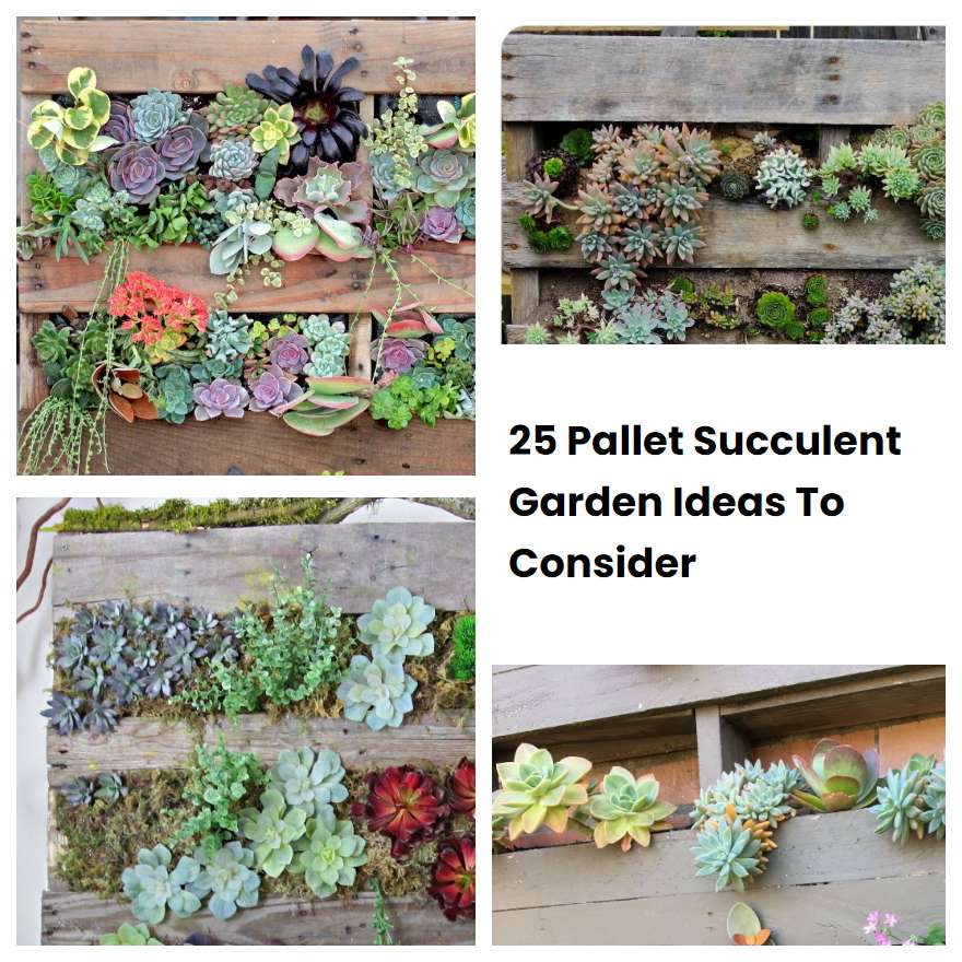 25 Pallet Succulent Garden Ideas To Consider