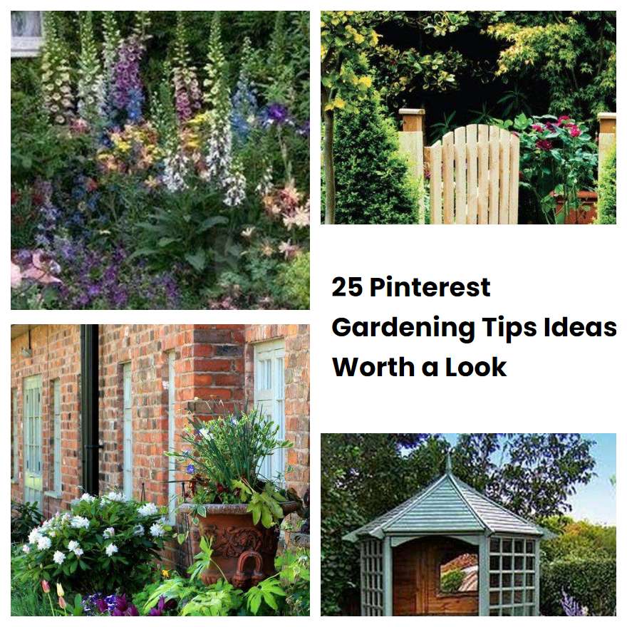 25 Pinterest Gardening Tips Ideas Worth A Look Sharonsable