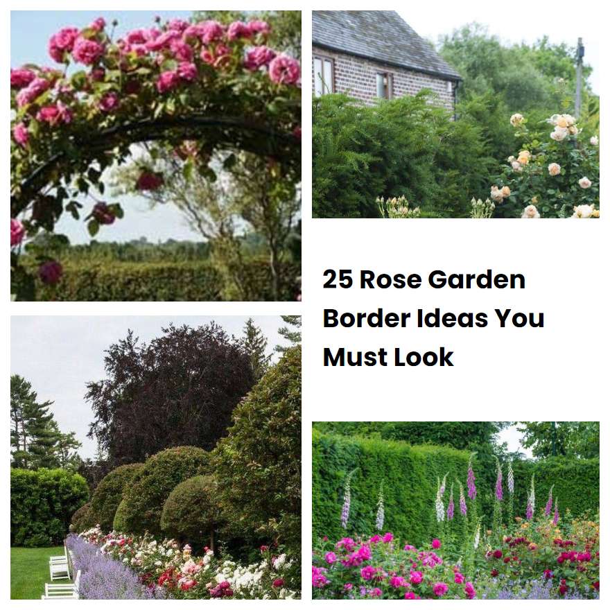 25 Rose Garden Border Ideas You Must Look
