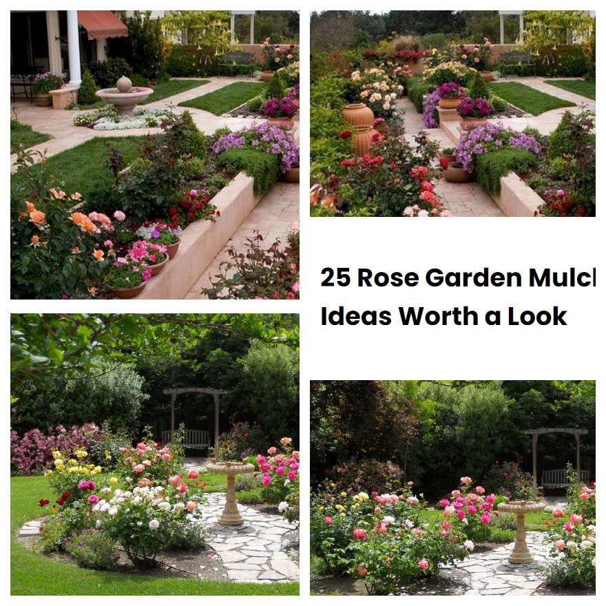 25 Rose Garden Mulch Ideas Worth a Look SharonSable