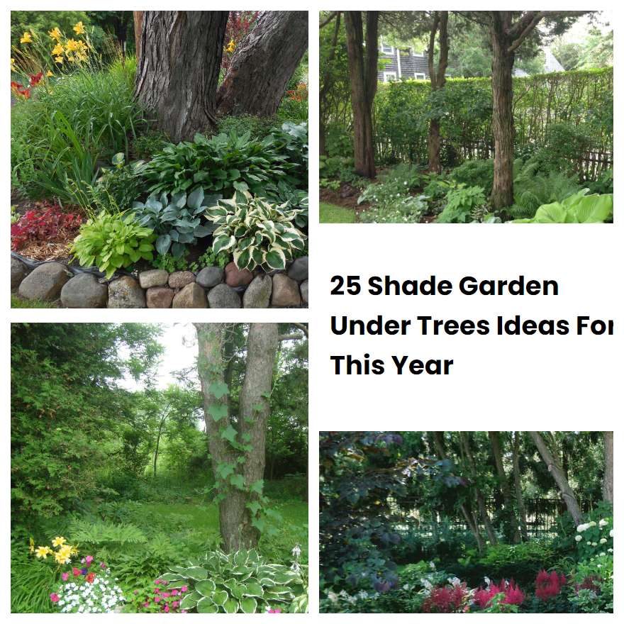 25 Shade Garden Under Trees Ideas For This Year SharonSable