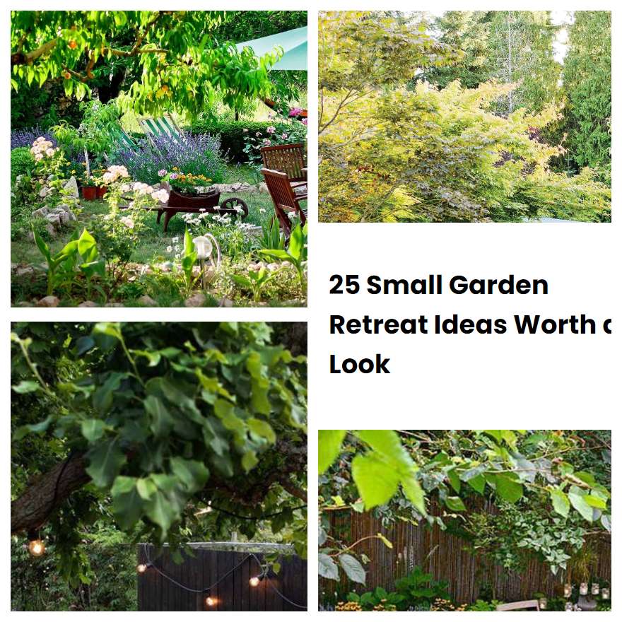 25 Small Garden Retreat Ideas Worth a Look