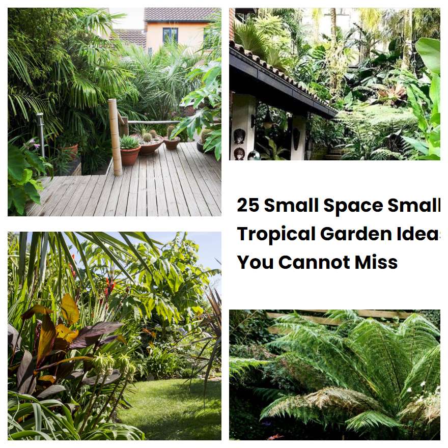 25 Small Space Small Tropical Garden Ideas You Cannot Miss SharonSable