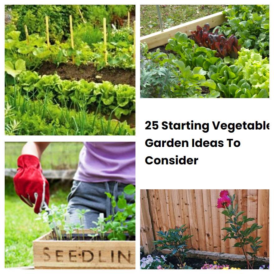 25 Starting Vegetable Garden Ideas To Consider